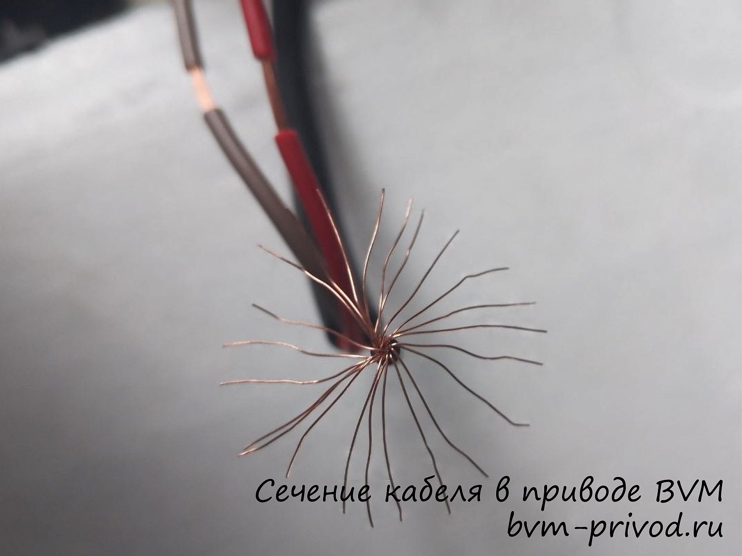 Испытания электропривода BVM согласно протоколу